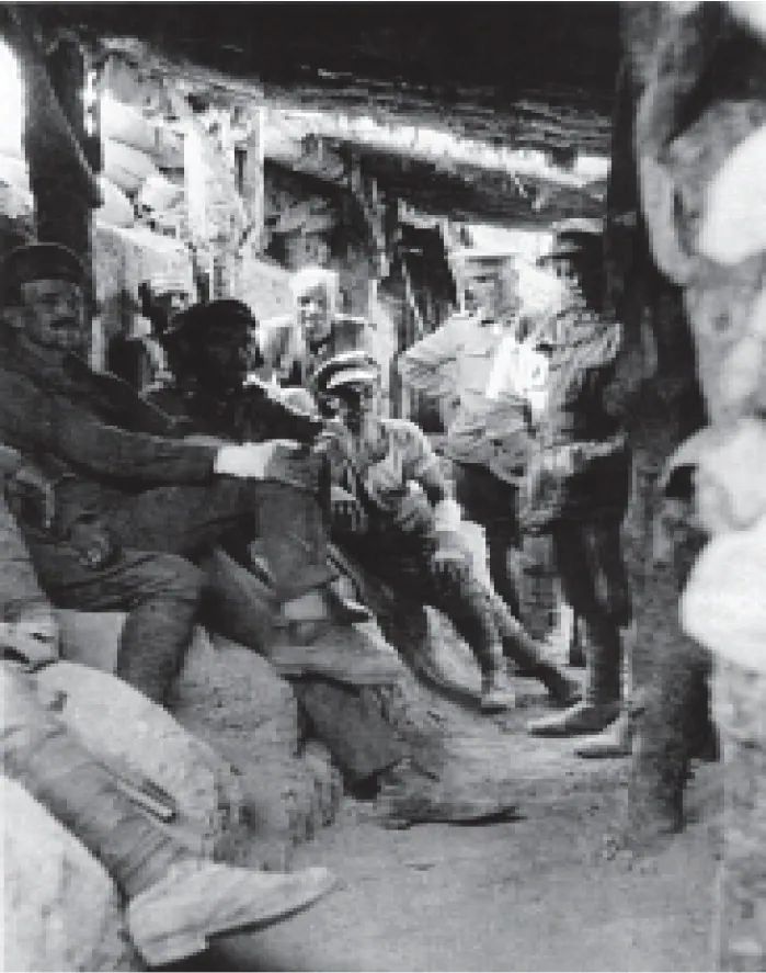 Picture on page 197, Part 2, Section 3: Lone Pine (3a–3c). The book gives no caption for it.